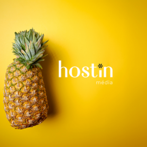 hostin média