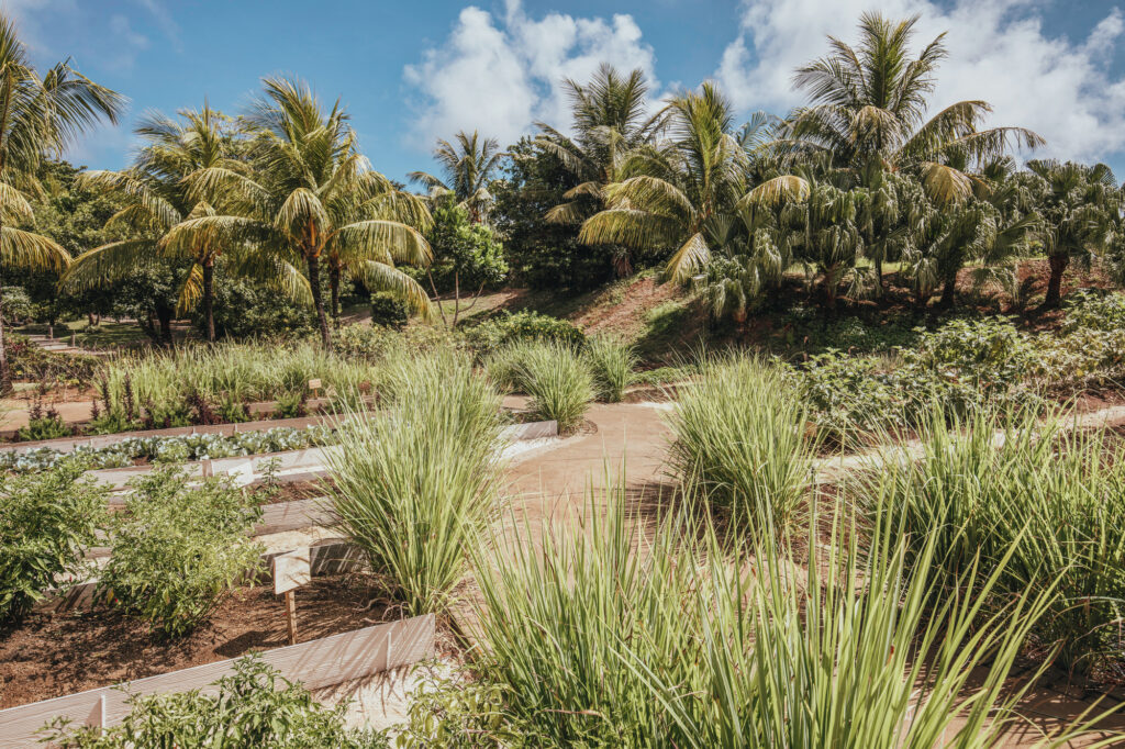 Le potager de l'hôtel Long Beach Hôtel, à l'Île Maurice.
