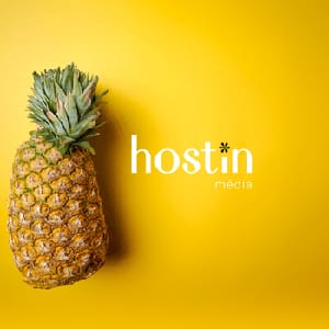 hostin média